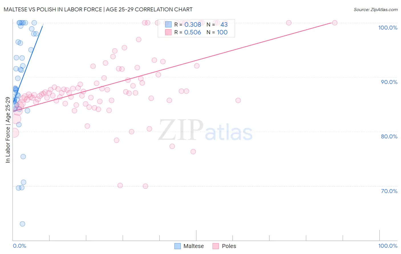 Maltese vs Polish In Labor Force | Age 25-29