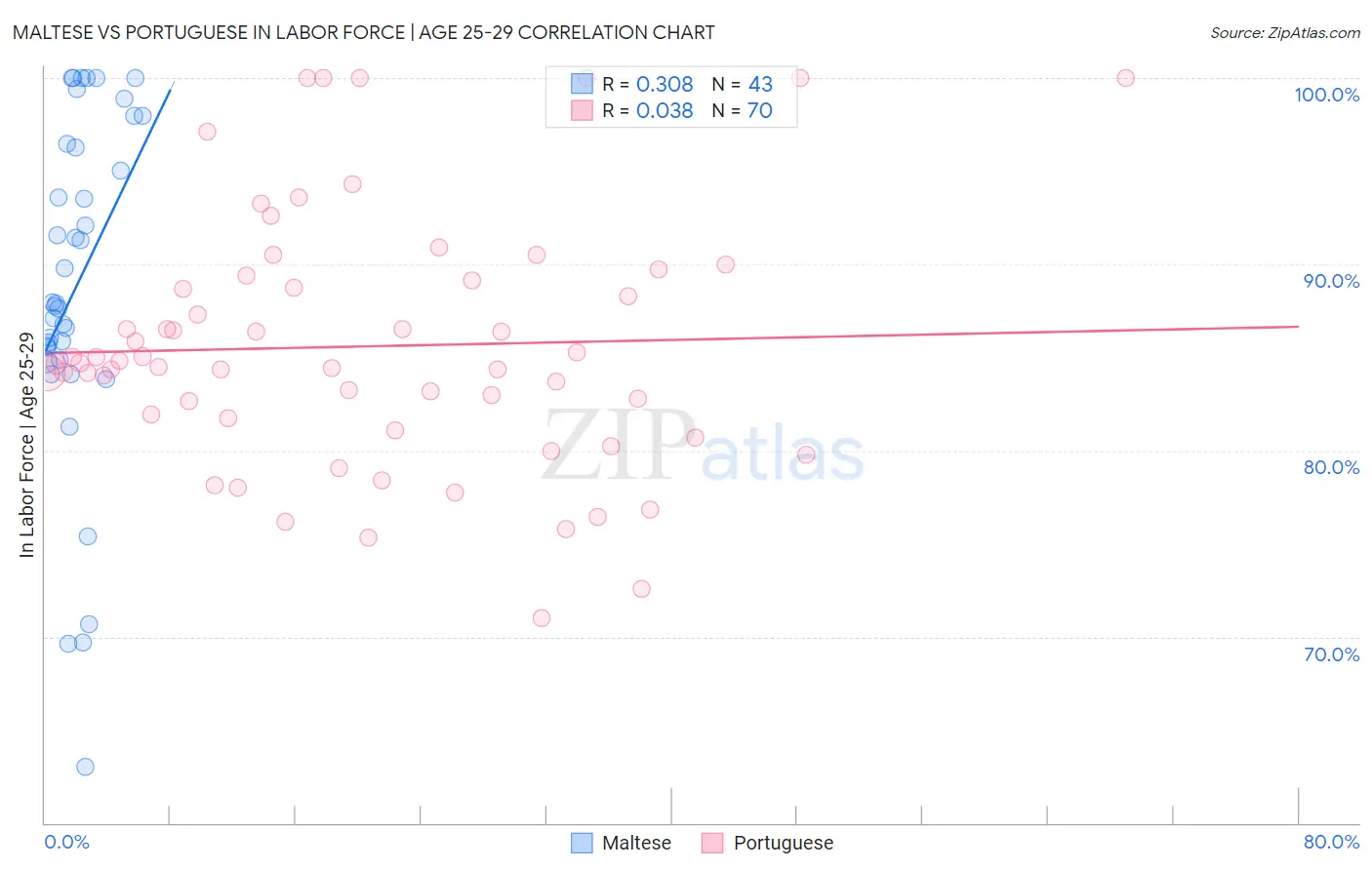 Maltese vs Portuguese In Labor Force | Age 25-29