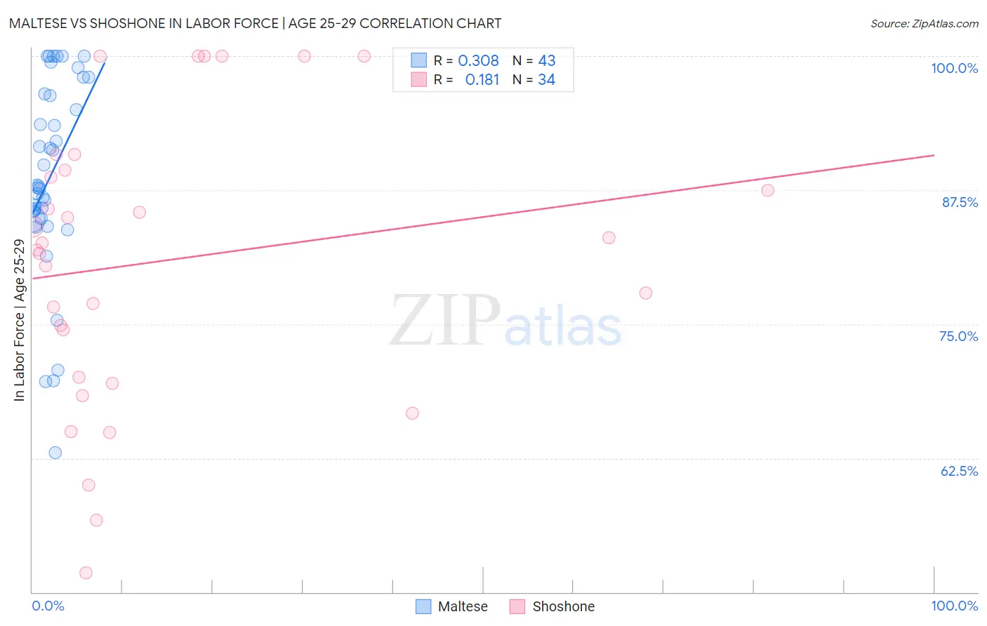 Maltese vs Shoshone In Labor Force | Age 25-29