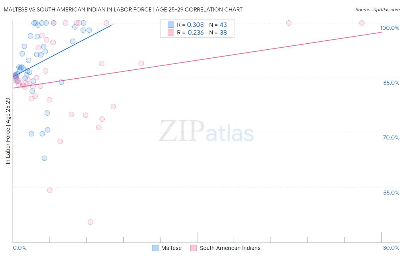 Maltese vs South American Indian In Labor Force | Age 25-29
