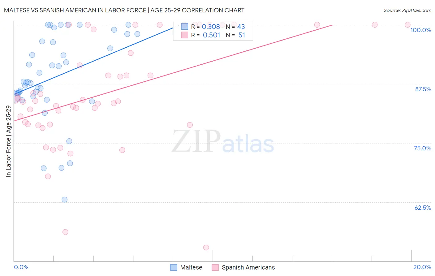 Maltese vs Spanish American In Labor Force | Age 25-29