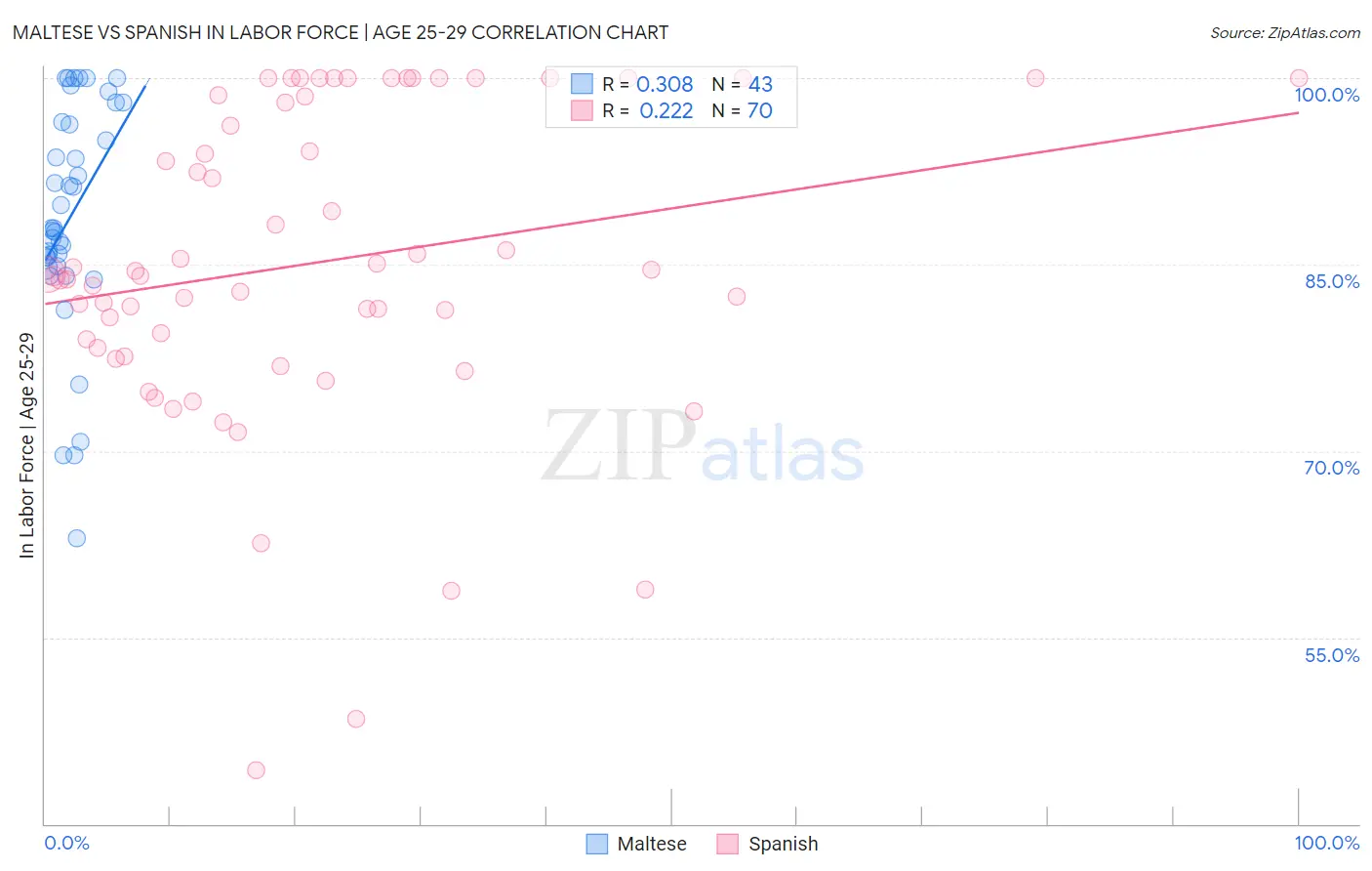 Maltese vs Spanish In Labor Force | Age 25-29
