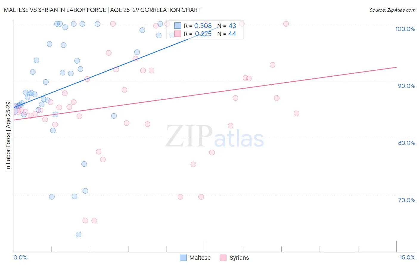 Maltese vs Syrian In Labor Force | Age 25-29