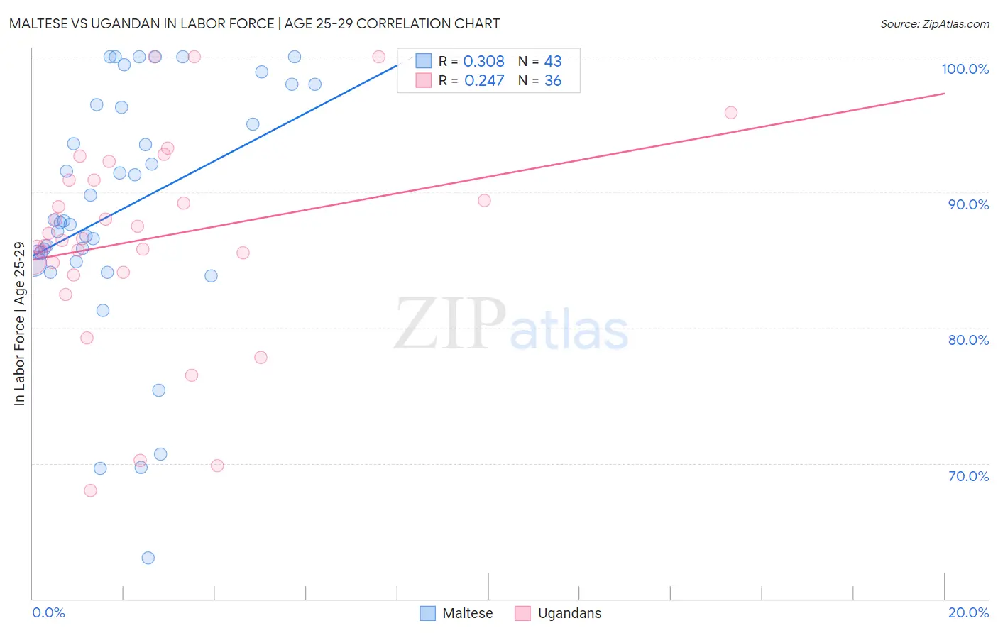Maltese vs Ugandan In Labor Force | Age 25-29