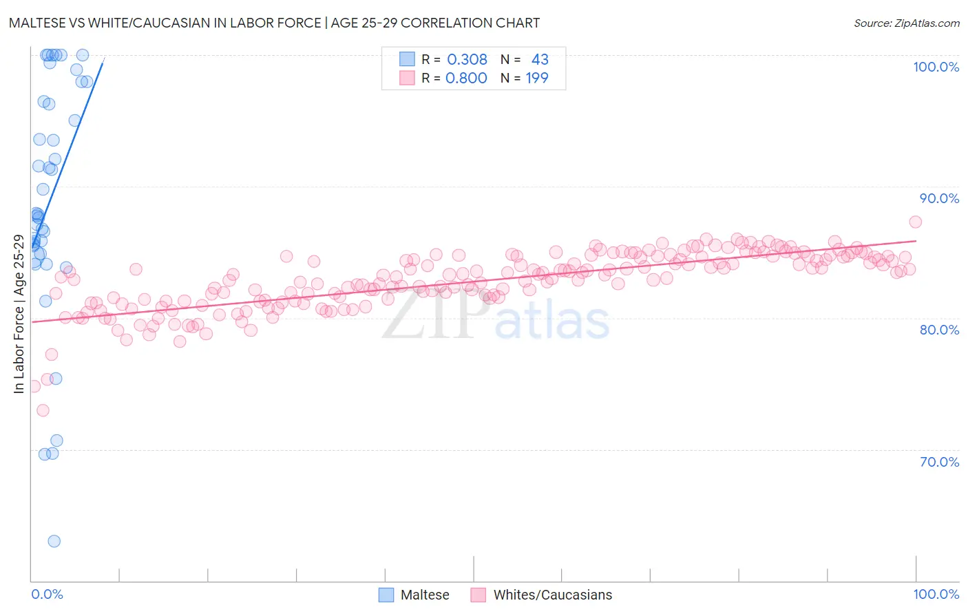 Maltese vs White/Caucasian In Labor Force | Age 25-29