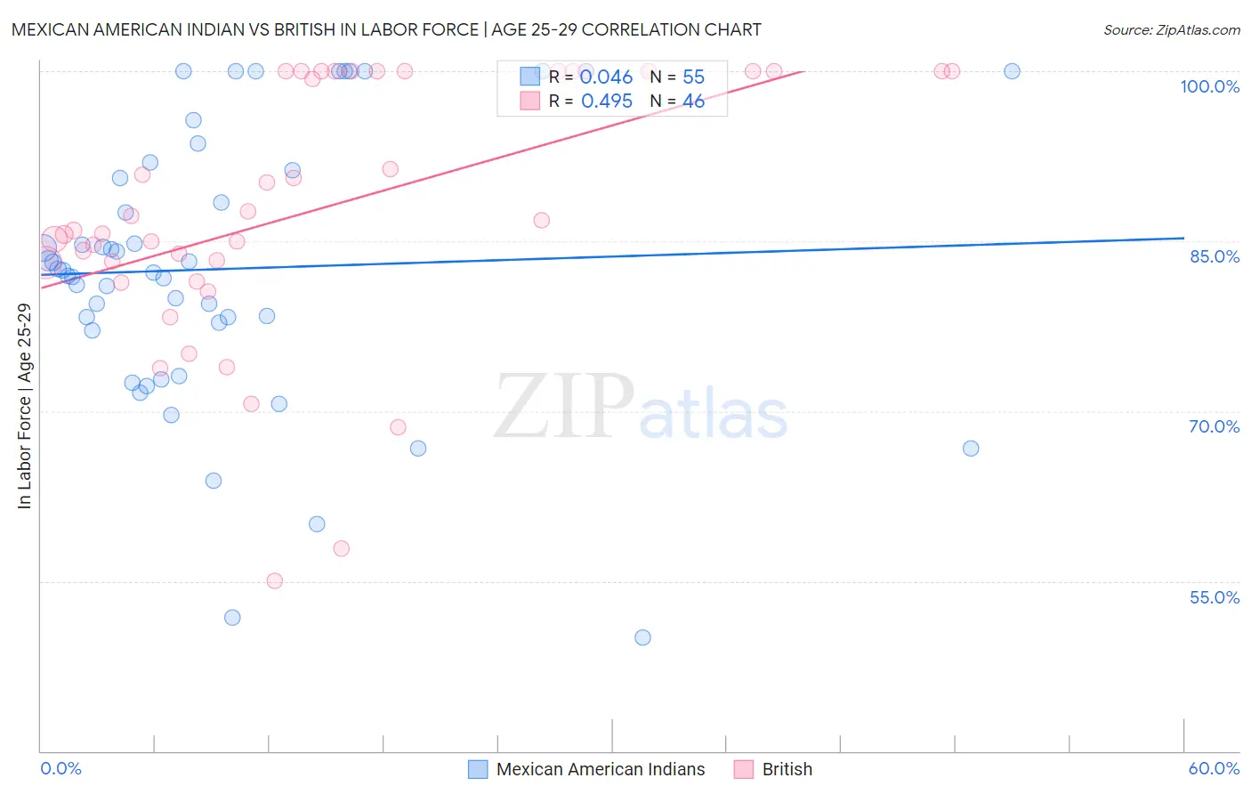 Mexican American Indian vs British In Labor Force | Age 25-29