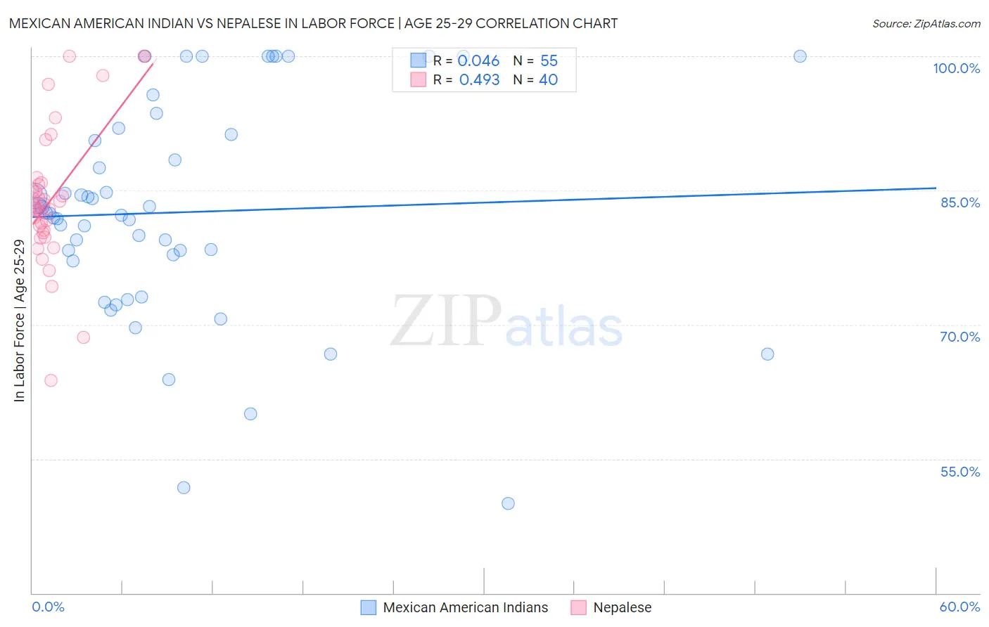 Mexican American Indian vs Nepalese In Labor Force | Age 25-29