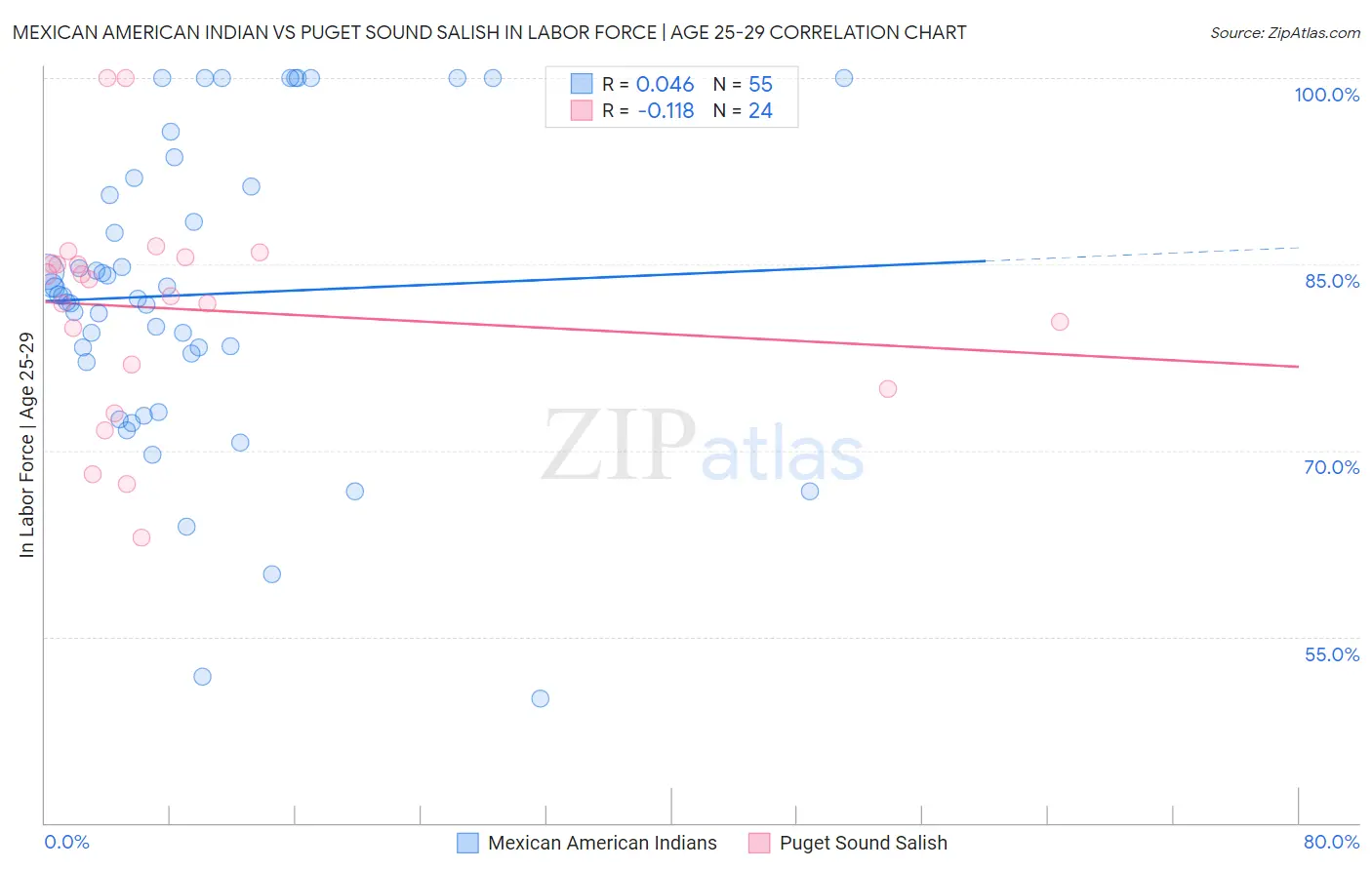 Mexican American Indian vs Puget Sound Salish In Labor Force | Age 25-29