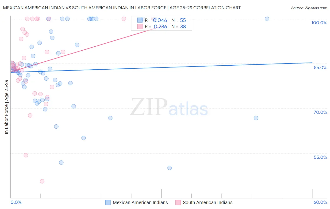 Mexican American Indian vs South American Indian In Labor Force | Age 25-29