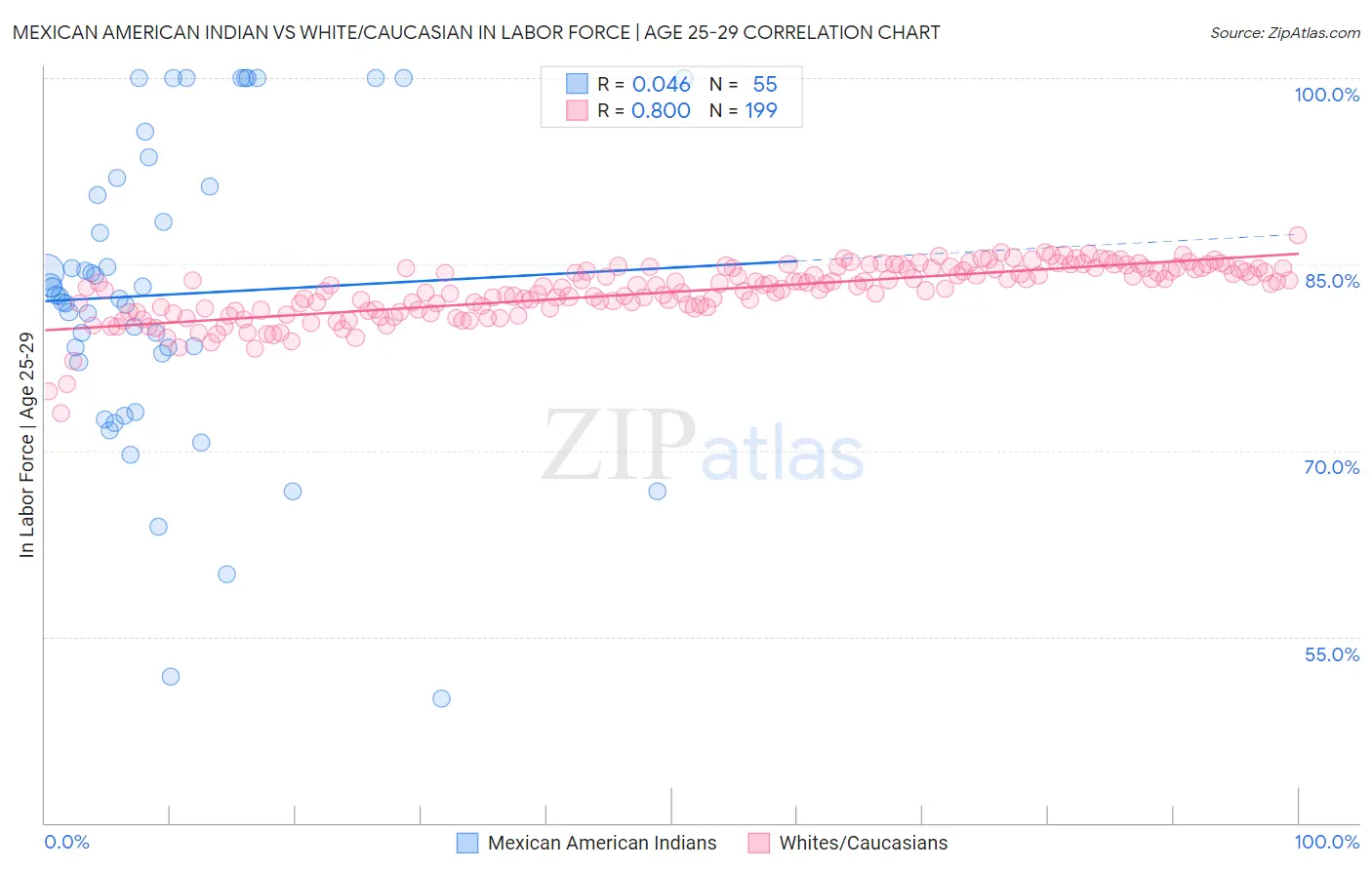 Mexican American Indian vs White/Caucasian In Labor Force | Age 25-29