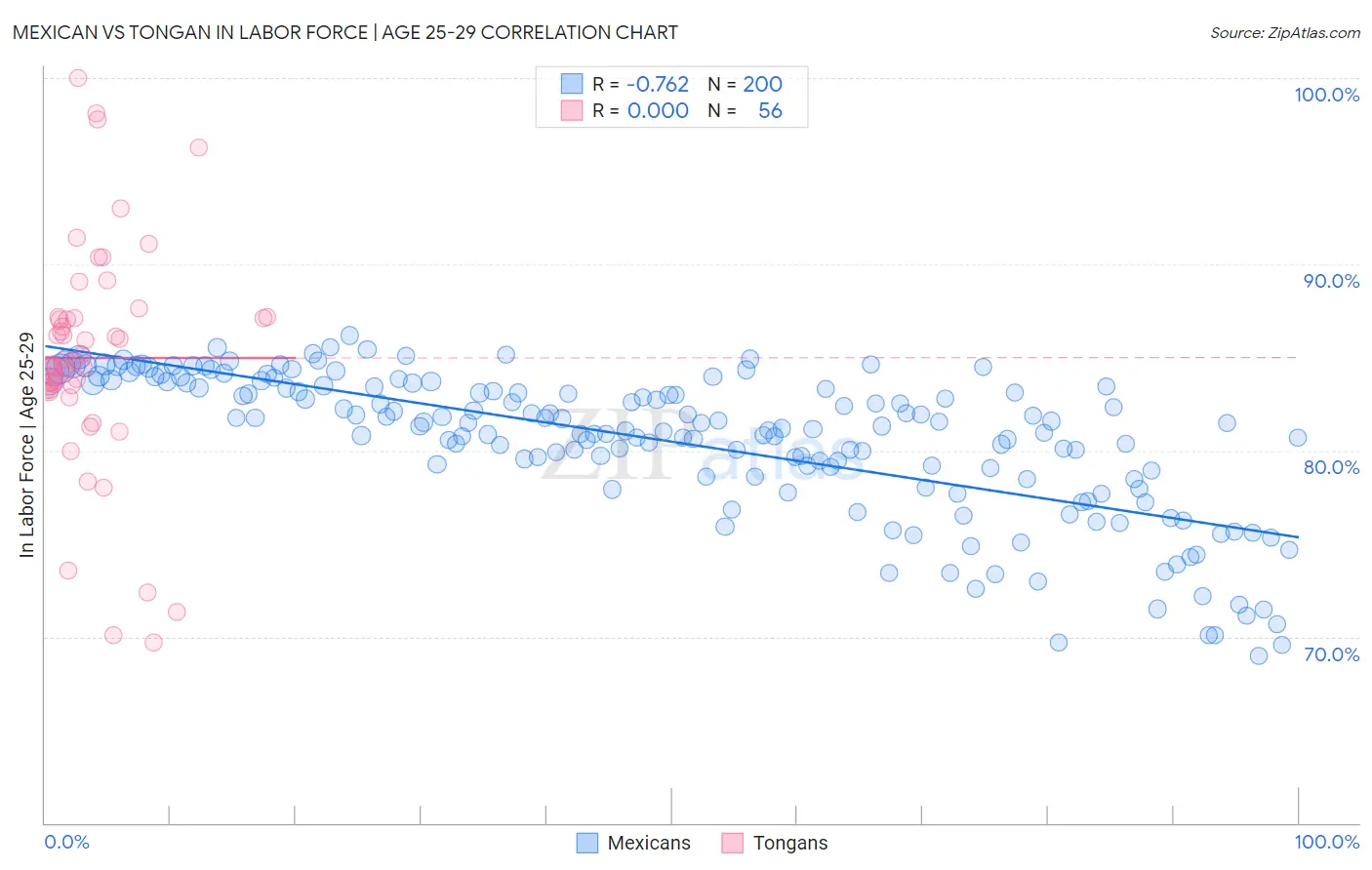Mexican vs Tongan In Labor Force | Age 25-29