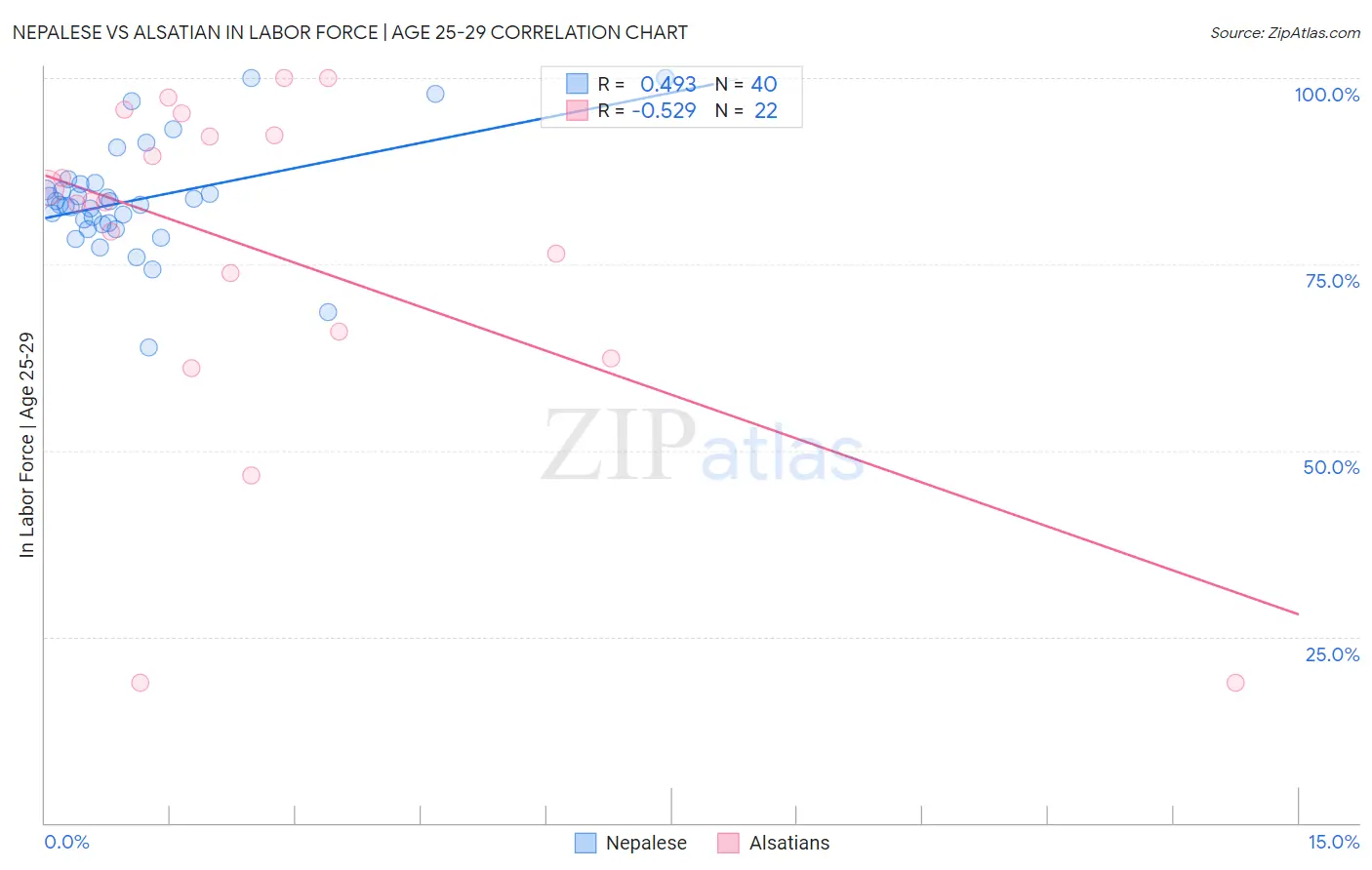 Nepalese vs Alsatian In Labor Force | Age 25-29