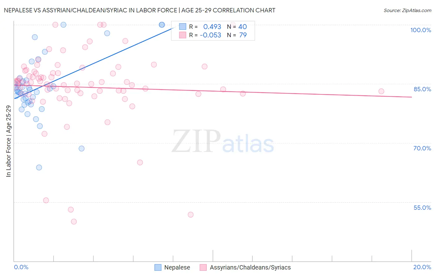 Nepalese vs Assyrian/Chaldean/Syriac In Labor Force | Age 25-29