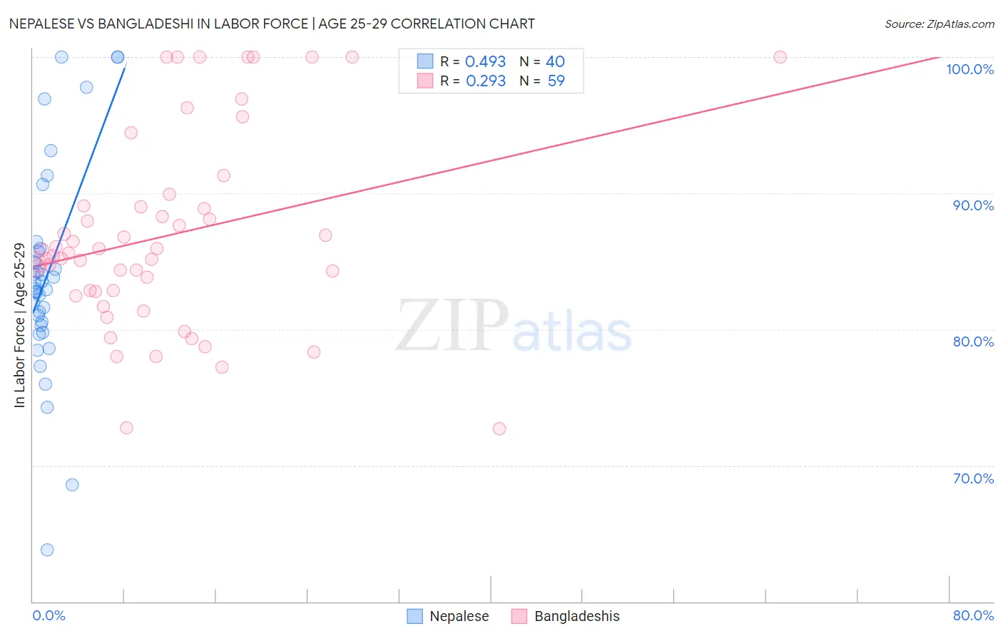 Nepalese vs Bangladeshi In Labor Force | Age 25-29