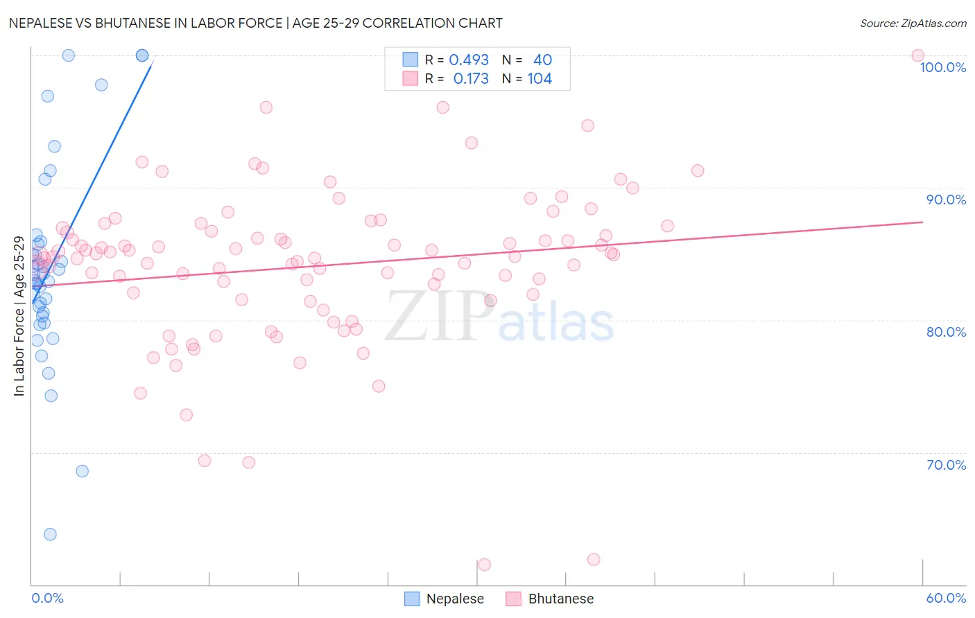Nepalese vs Bhutanese In Labor Force | Age 25-29
