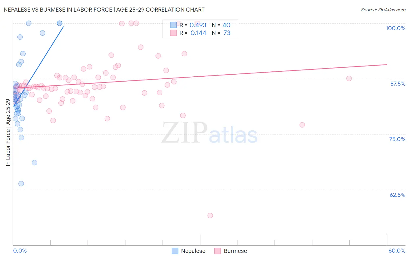 Nepalese vs Burmese In Labor Force | Age 25-29