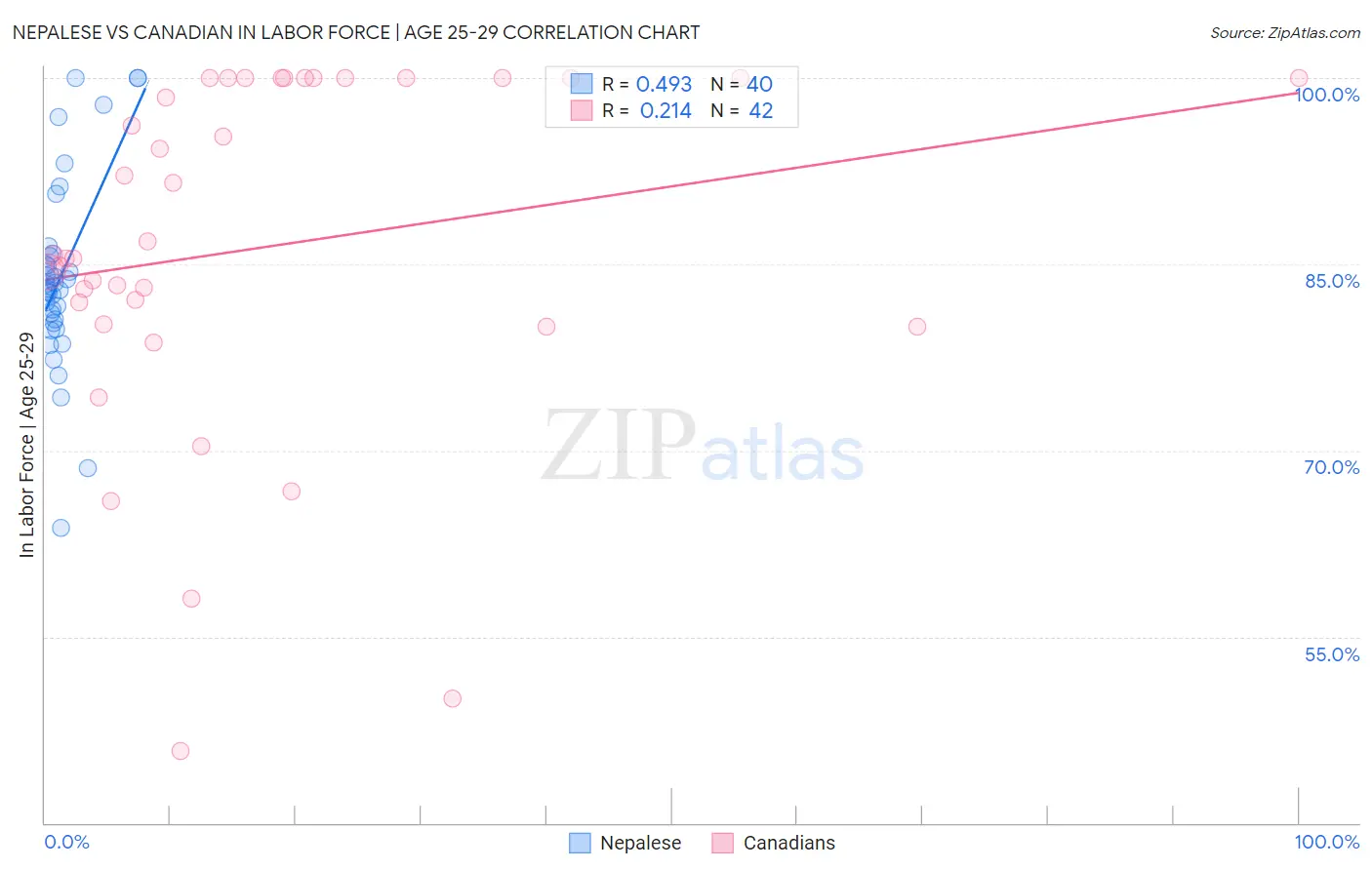 Nepalese vs Canadian In Labor Force | Age 25-29