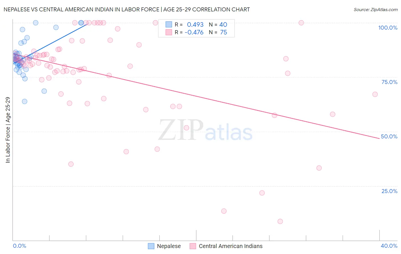 Nepalese vs Central American Indian In Labor Force | Age 25-29