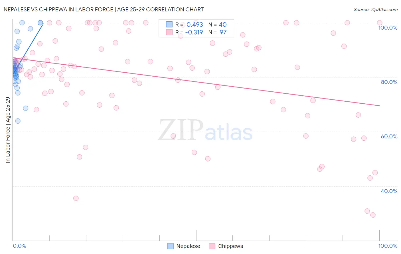 Nepalese vs Chippewa In Labor Force | Age 25-29