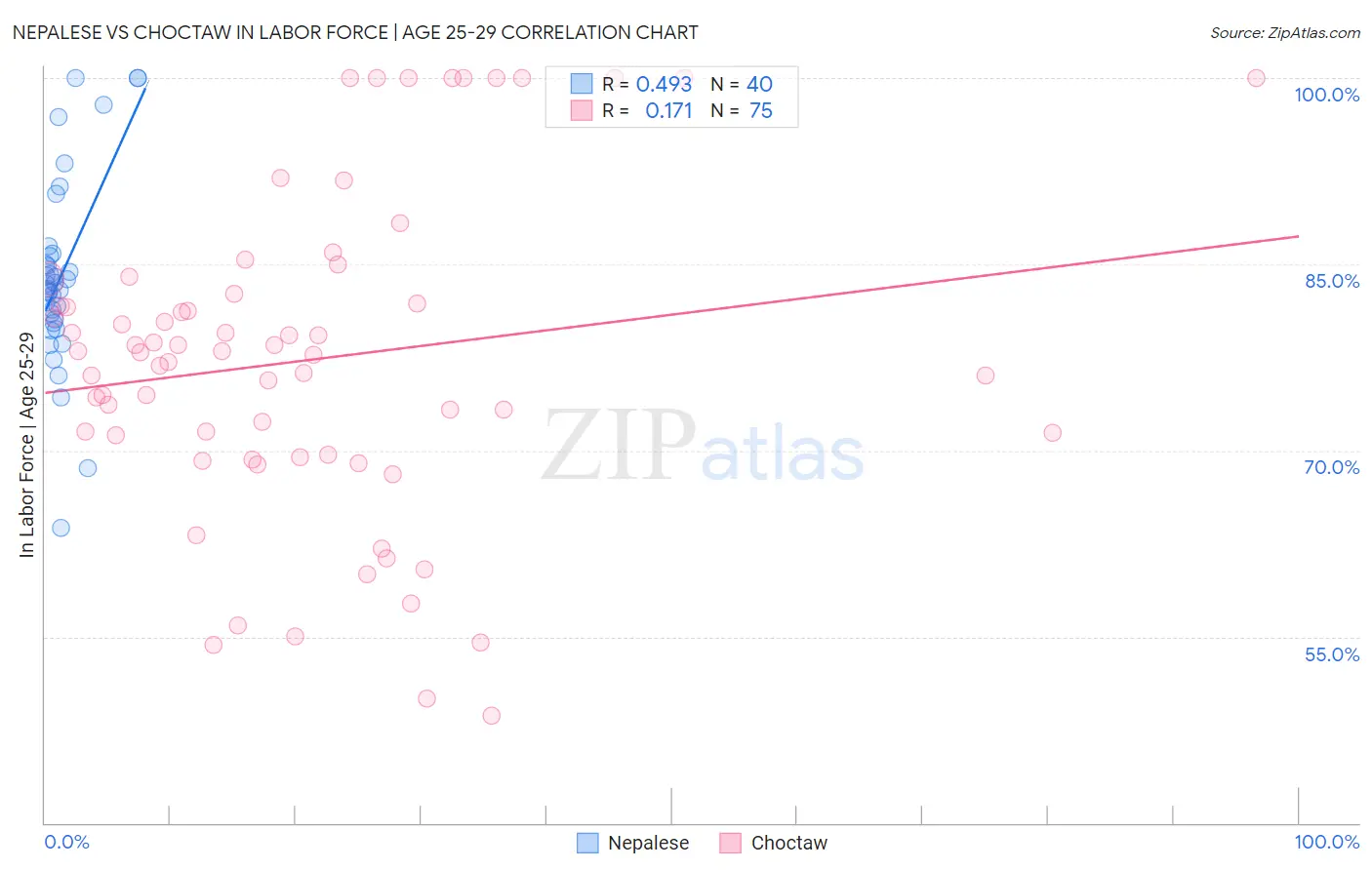 Nepalese vs Choctaw In Labor Force | Age 25-29
