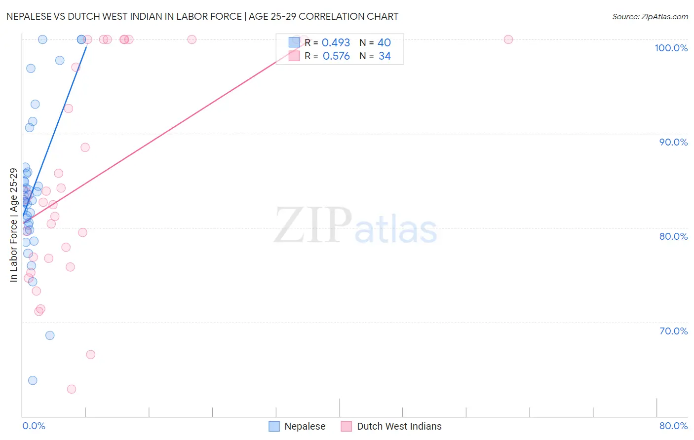 Nepalese vs Dutch West Indian In Labor Force | Age 25-29