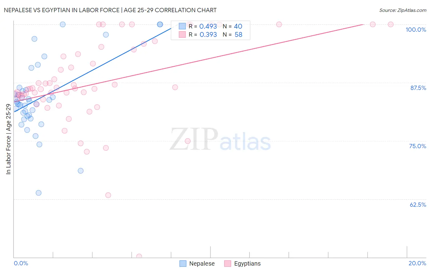 Nepalese vs Egyptian In Labor Force | Age 25-29