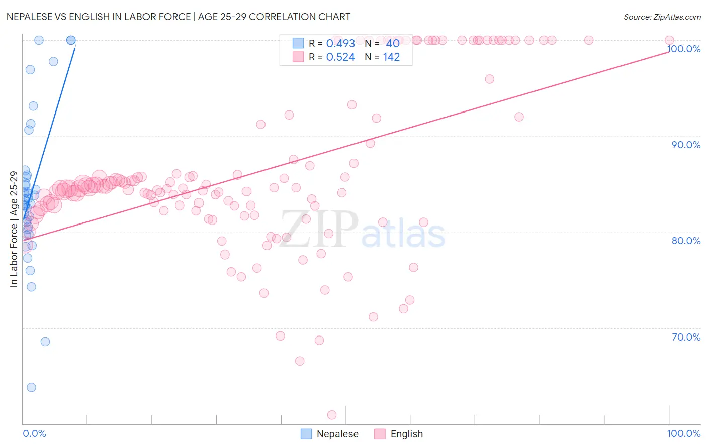 Nepalese vs English In Labor Force | Age 25-29