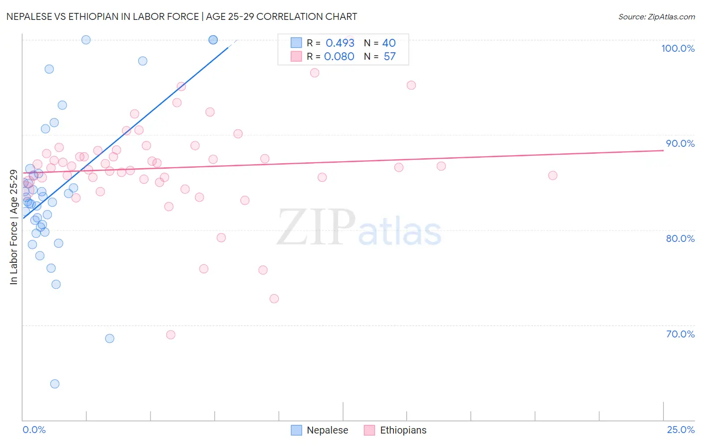 Nepalese vs Ethiopian In Labor Force | Age 25-29