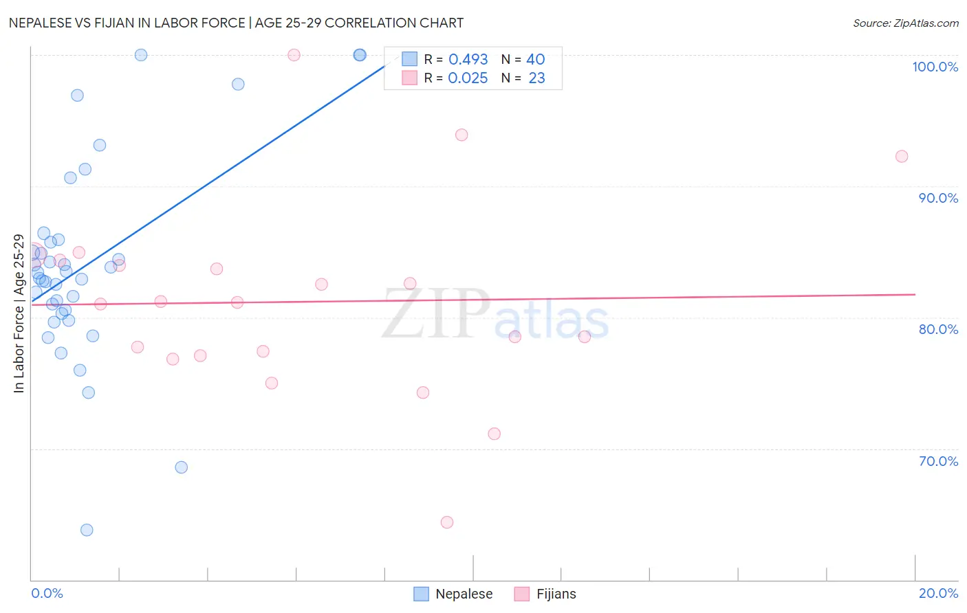 Nepalese vs Fijian In Labor Force | Age 25-29