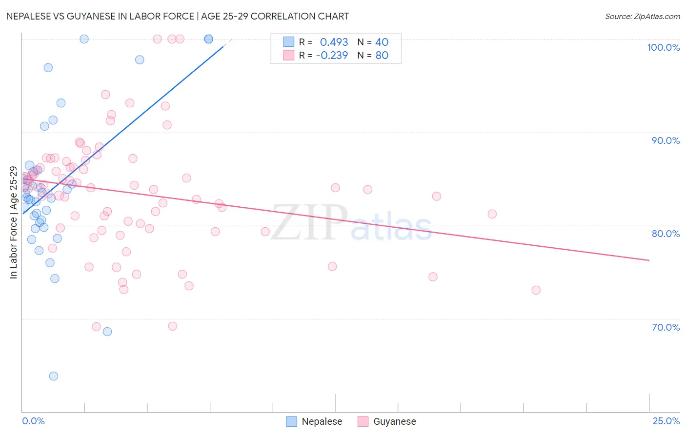 Nepalese vs Guyanese In Labor Force | Age 25-29