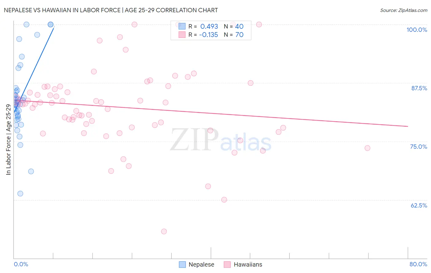 Nepalese vs Hawaiian In Labor Force | Age 25-29