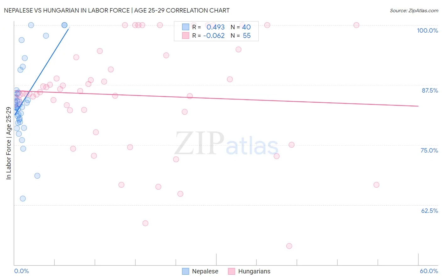 Nepalese vs Hungarian In Labor Force | Age 25-29