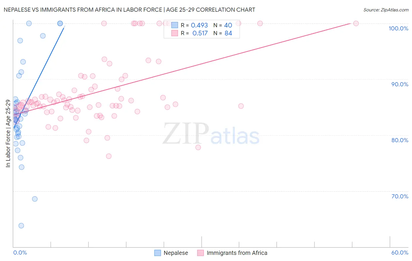 Nepalese vs Immigrants from Africa In Labor Force | Age 25-29