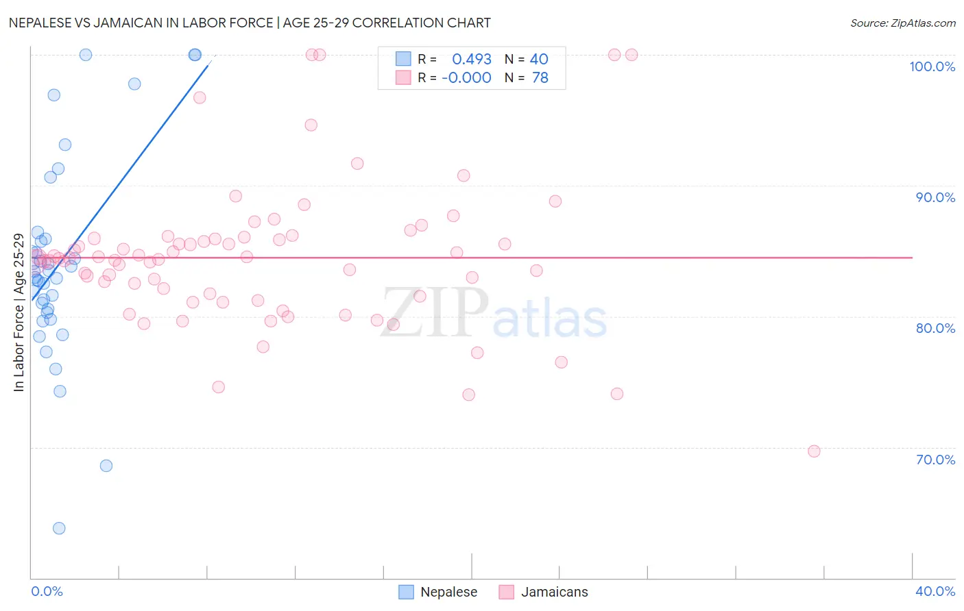 Nepalese vs Jamaican In Labor Force | Age 25-29