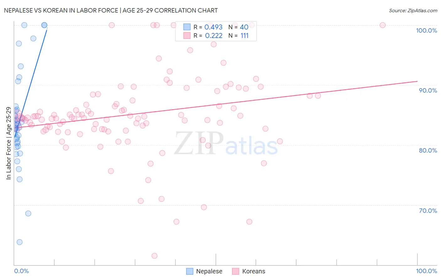 Nepalese vs Korean In Labor Force | Age 25-29