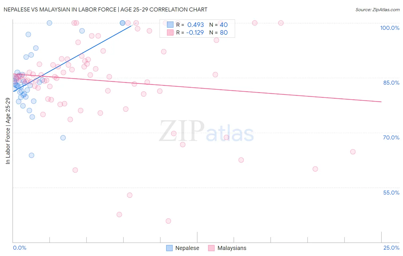 Nepalese vs Malaysian In Labor Force | Age 25-29