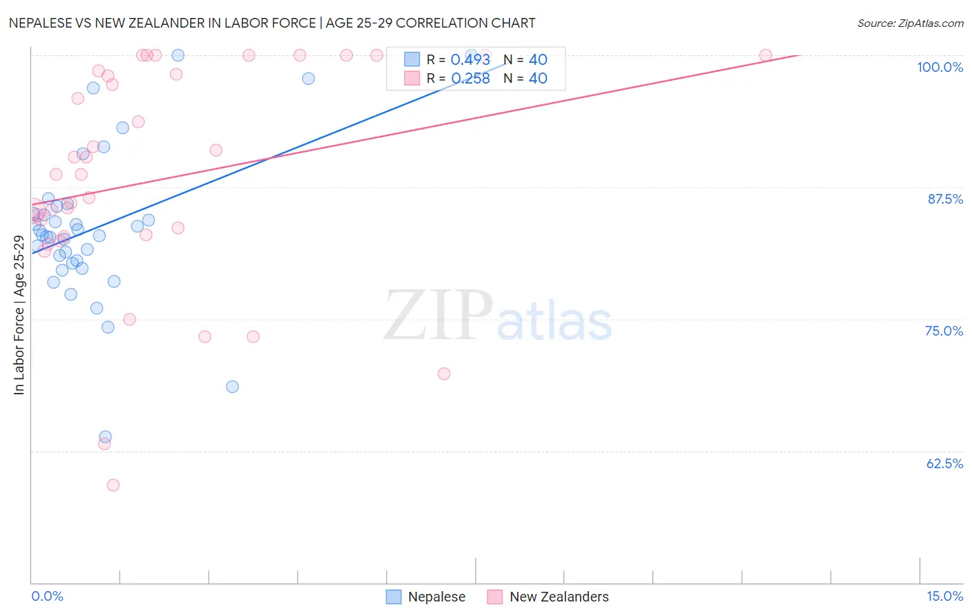 Nepalese vs New Zealander In Labor Force | Age 25-29