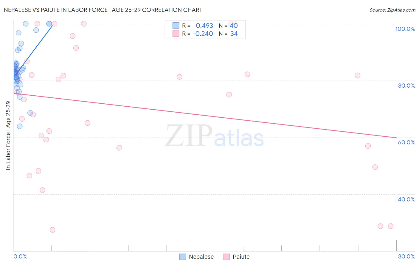 Nepalese vs Paiute In Labor Force | Age 25-29