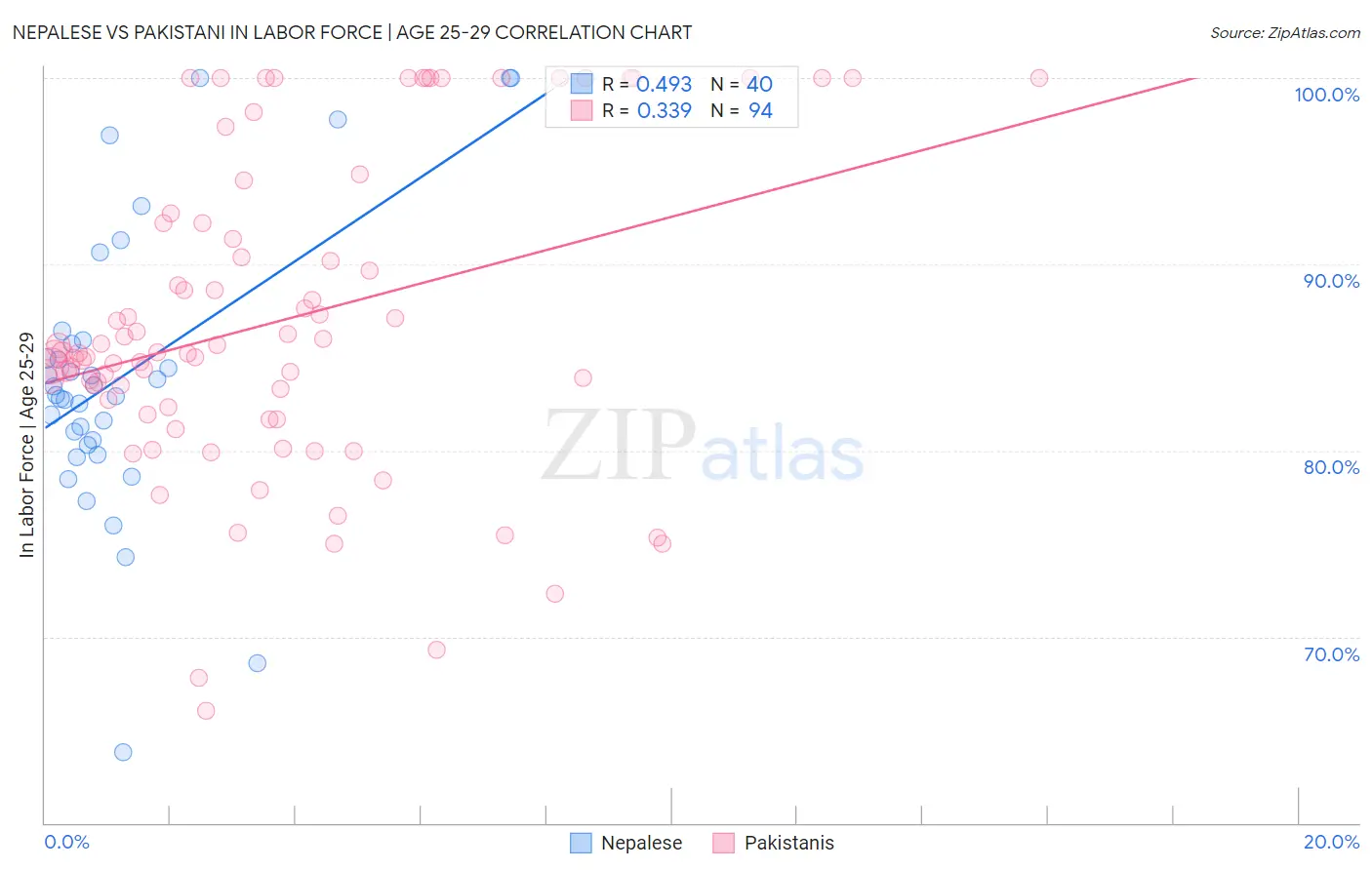 Nepalese vs Pakistani In Labor Force | Age 25-29