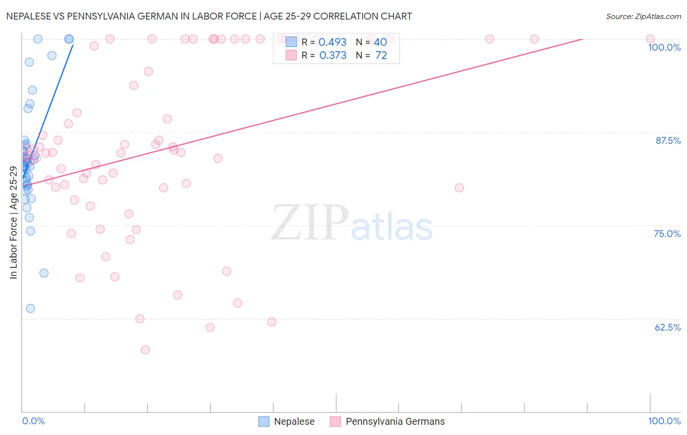 Nepalese vs Pennsylvania German In Labor Force | Age 25-29