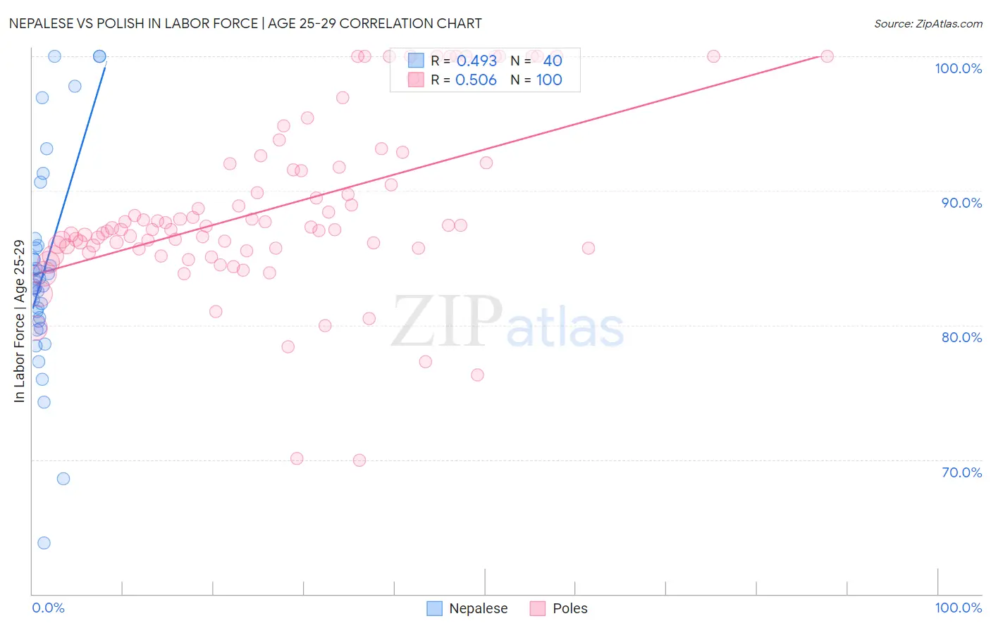 Nepalese vs Polish In Labor Force | Age 25-29