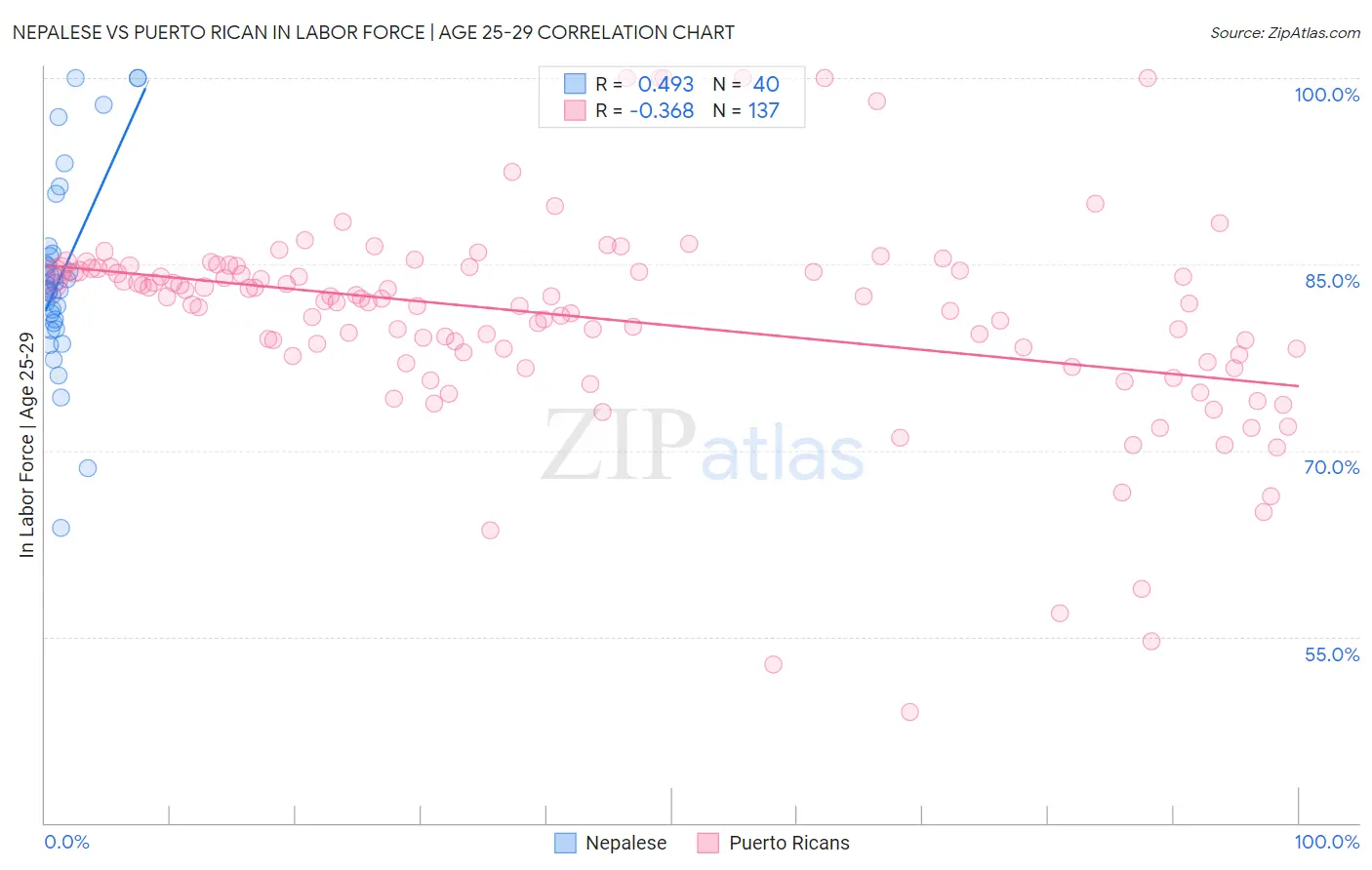 Nepalese vs Puerto Rican In Labor Force | Age 25-29