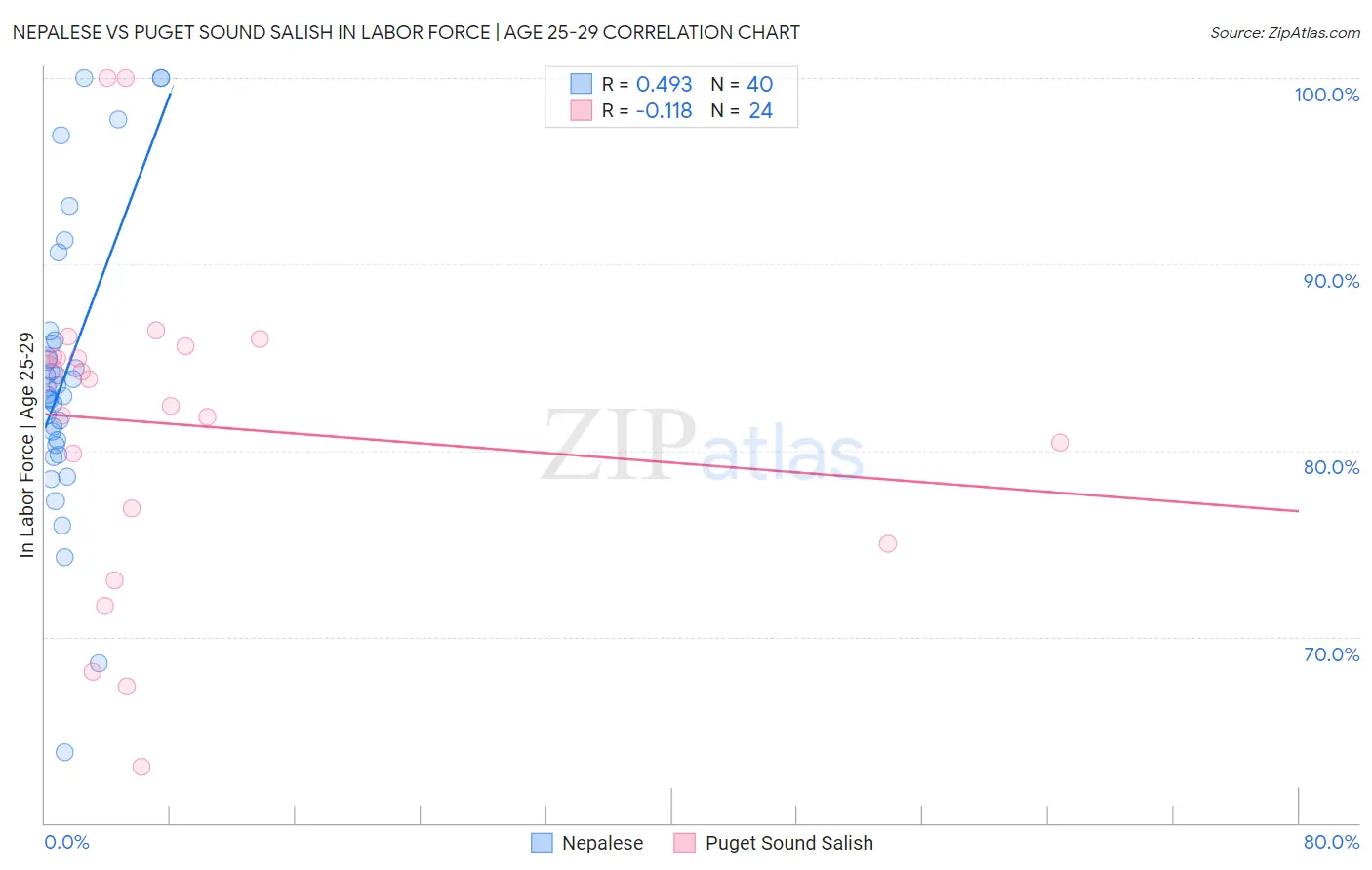Nepalese vs Puget Sound Salish In Labor Force | Age 25-29