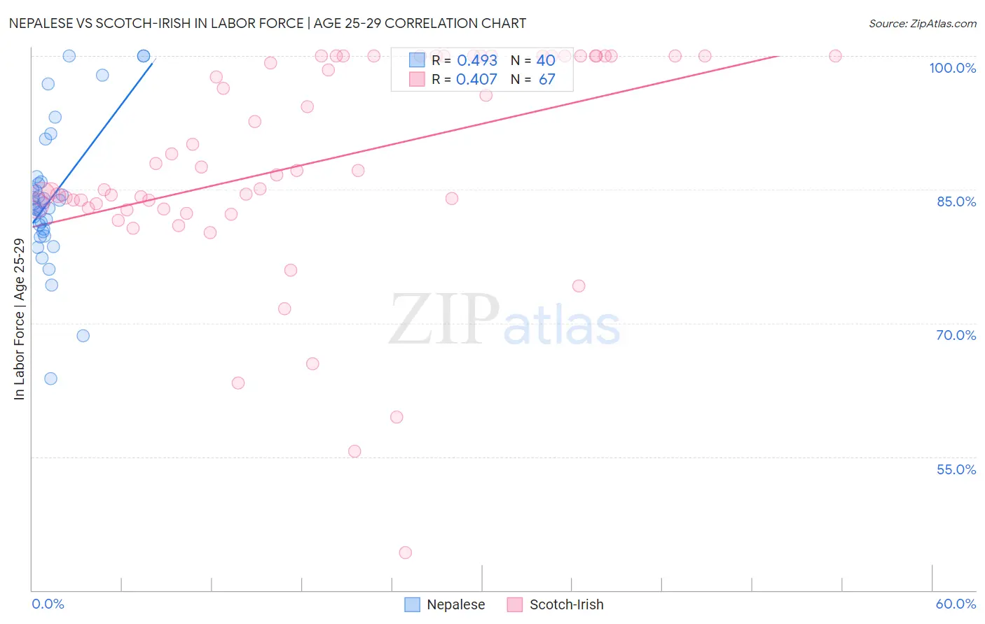 Nepalese vs Scotch-Irish In Labor Force | Age 25-29