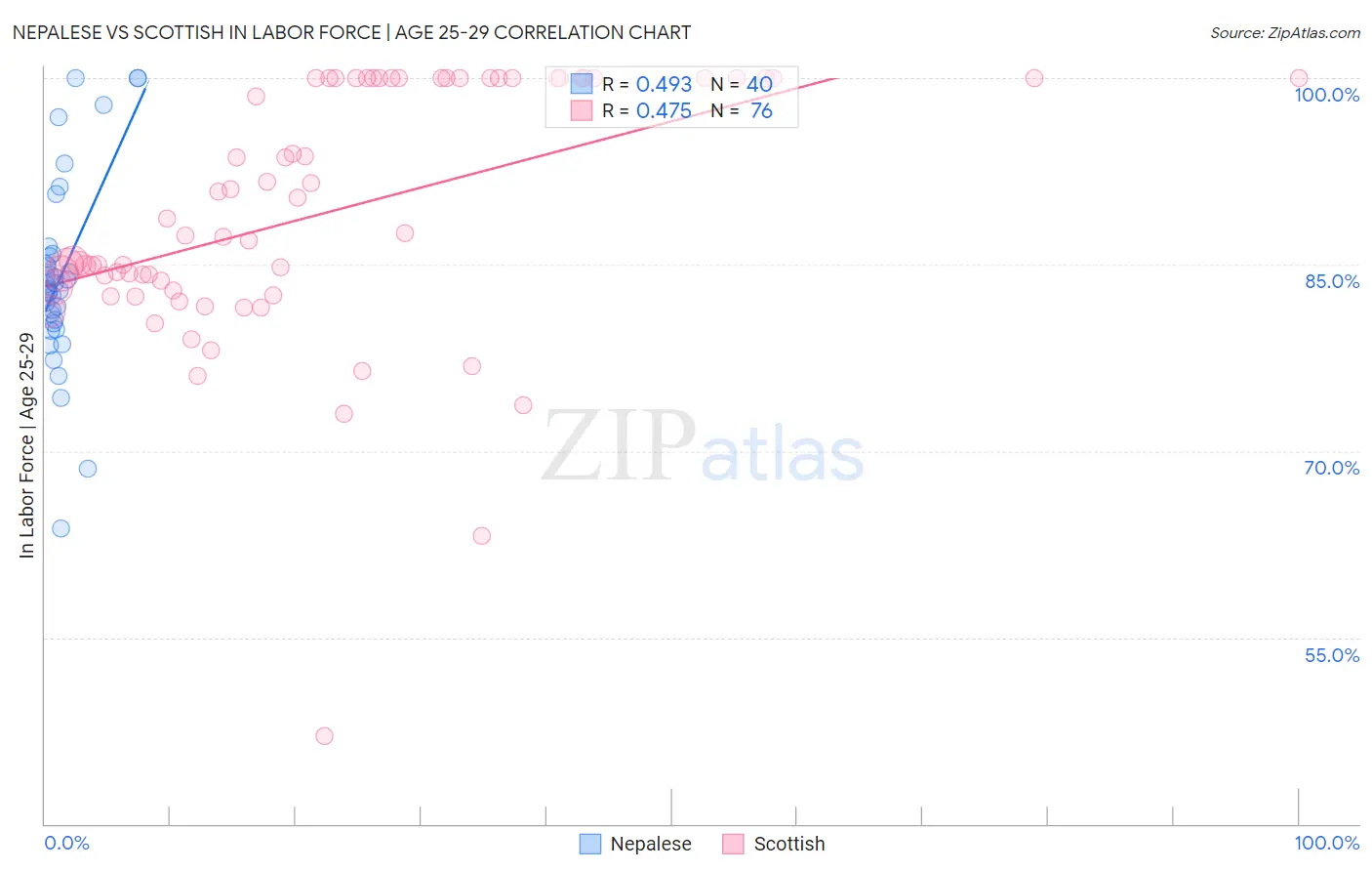 Nepalese vs Scottish In Labor Force | Age 25-29
