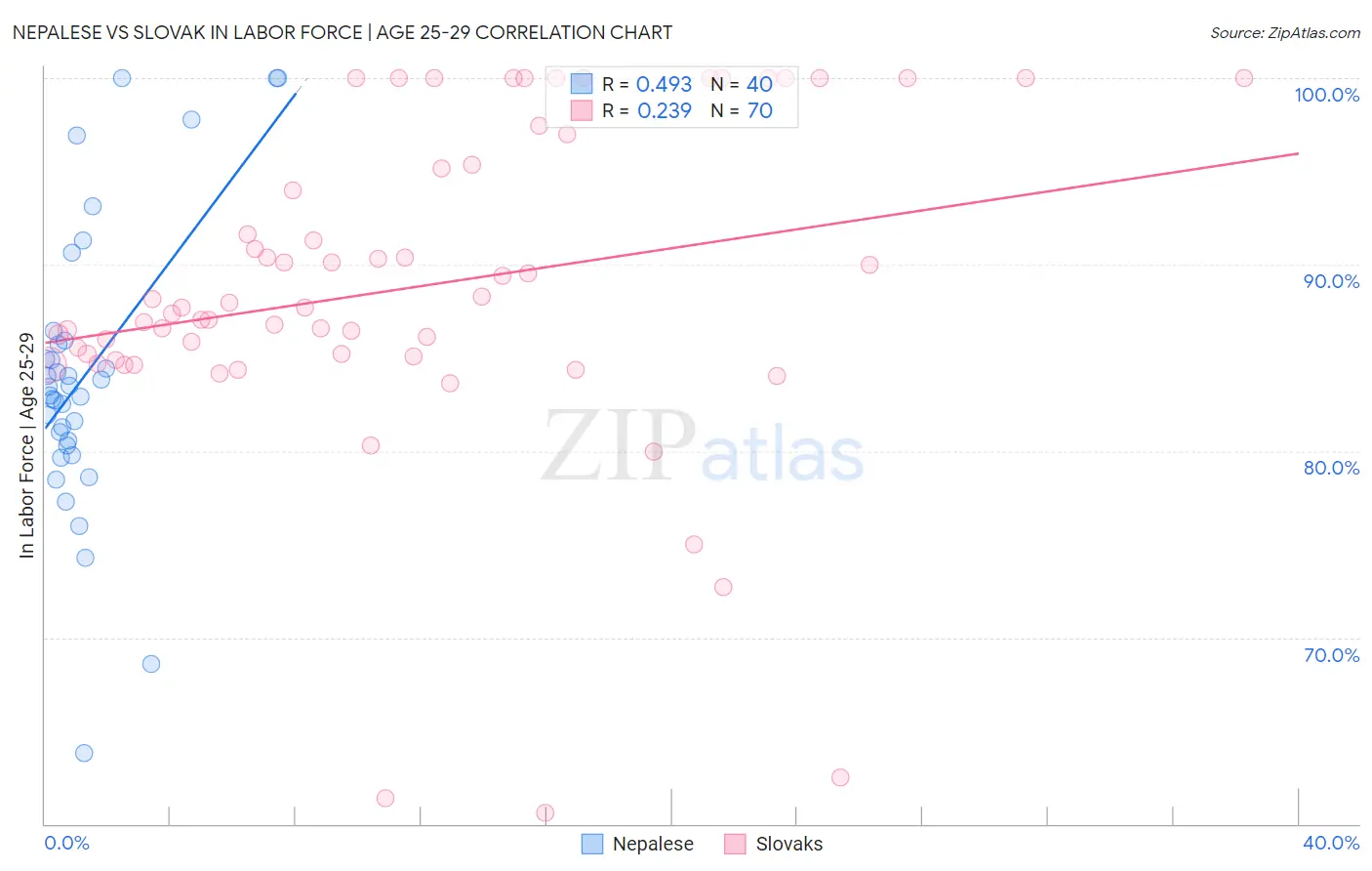 Nepalese vs Slovak In Labor Force | Age 25-29