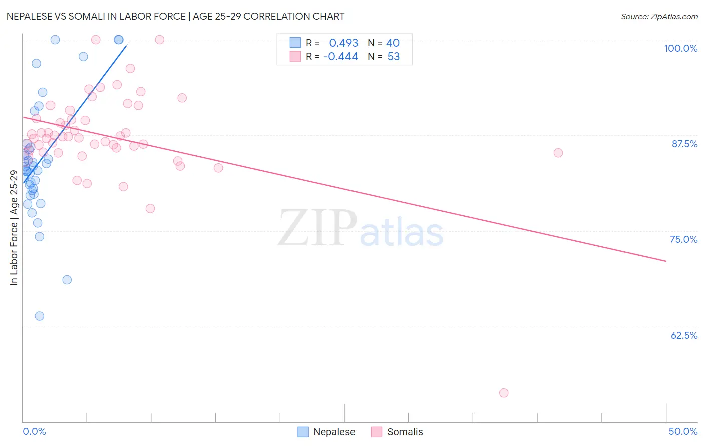 Nepalese vs Somali In Labor Force | Age 25-29