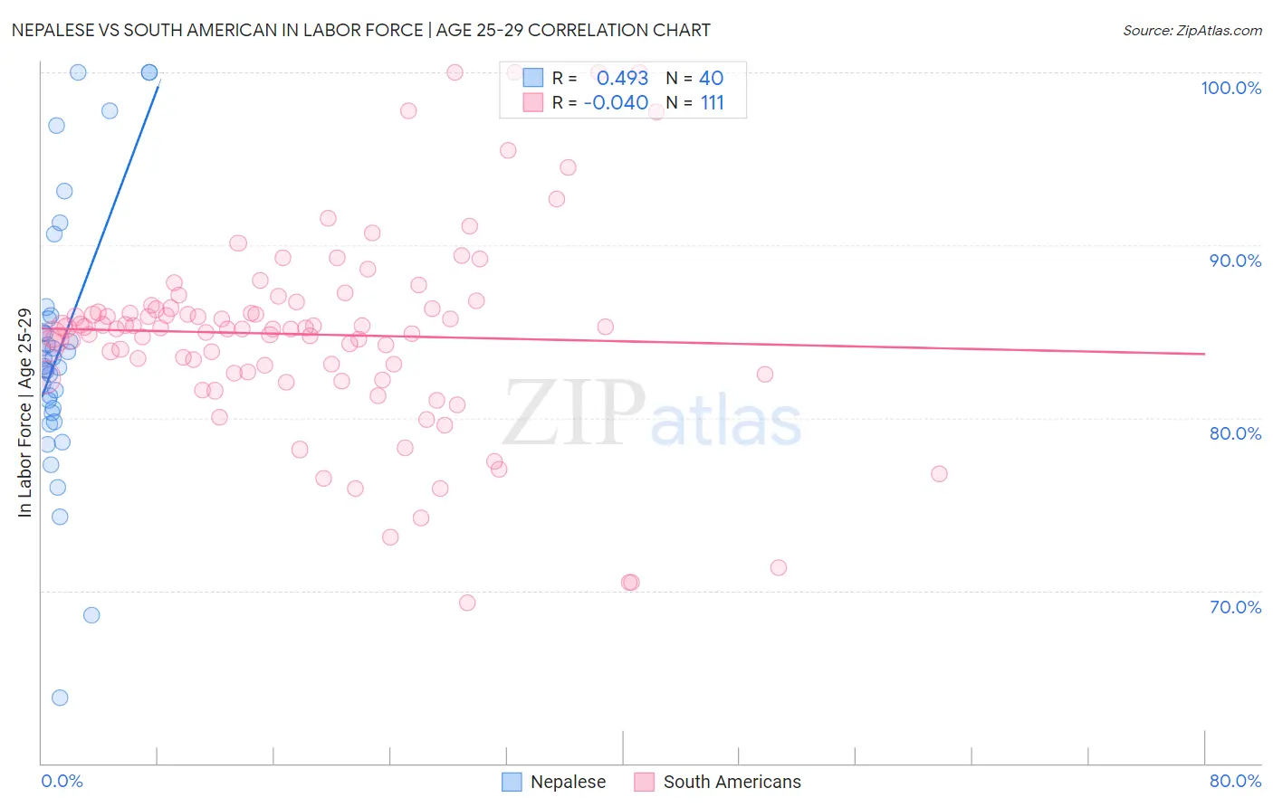 Nepalese vs South American In Labor Force | Age 25-29