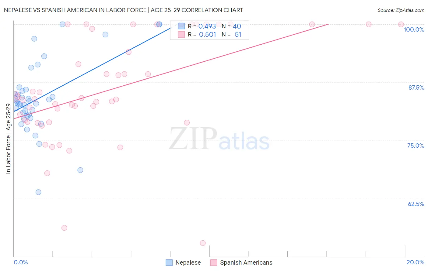 Nepalese vs Spanish American In Labor Force | Age 25-29