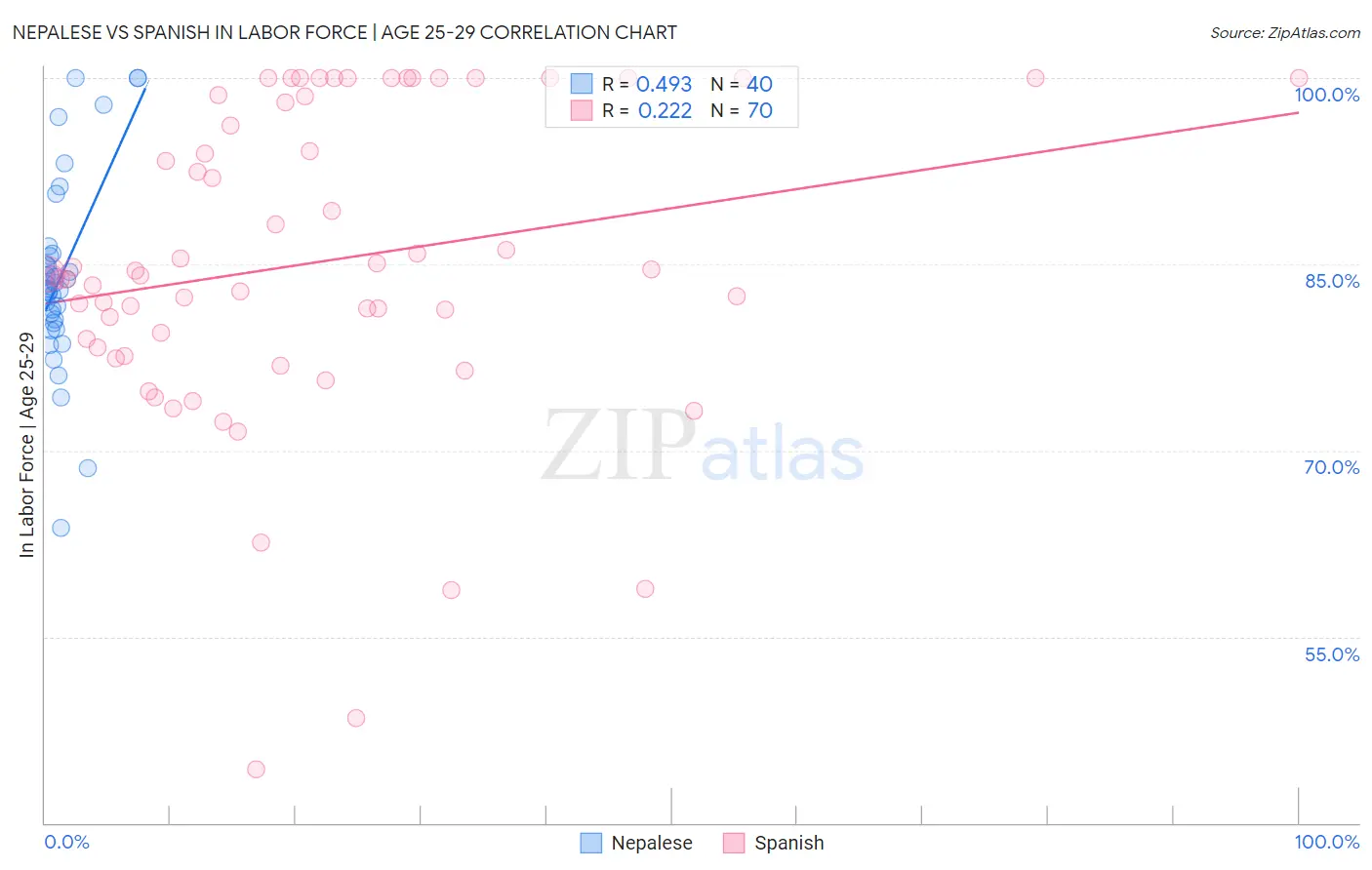 Nepalese vs Spanish In Labor Force | Age 25-29